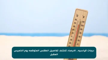 درجات قياسية.. الأرصاد تكشف تفاصيل الطقس المتوقعة يوم الخميس المقبل